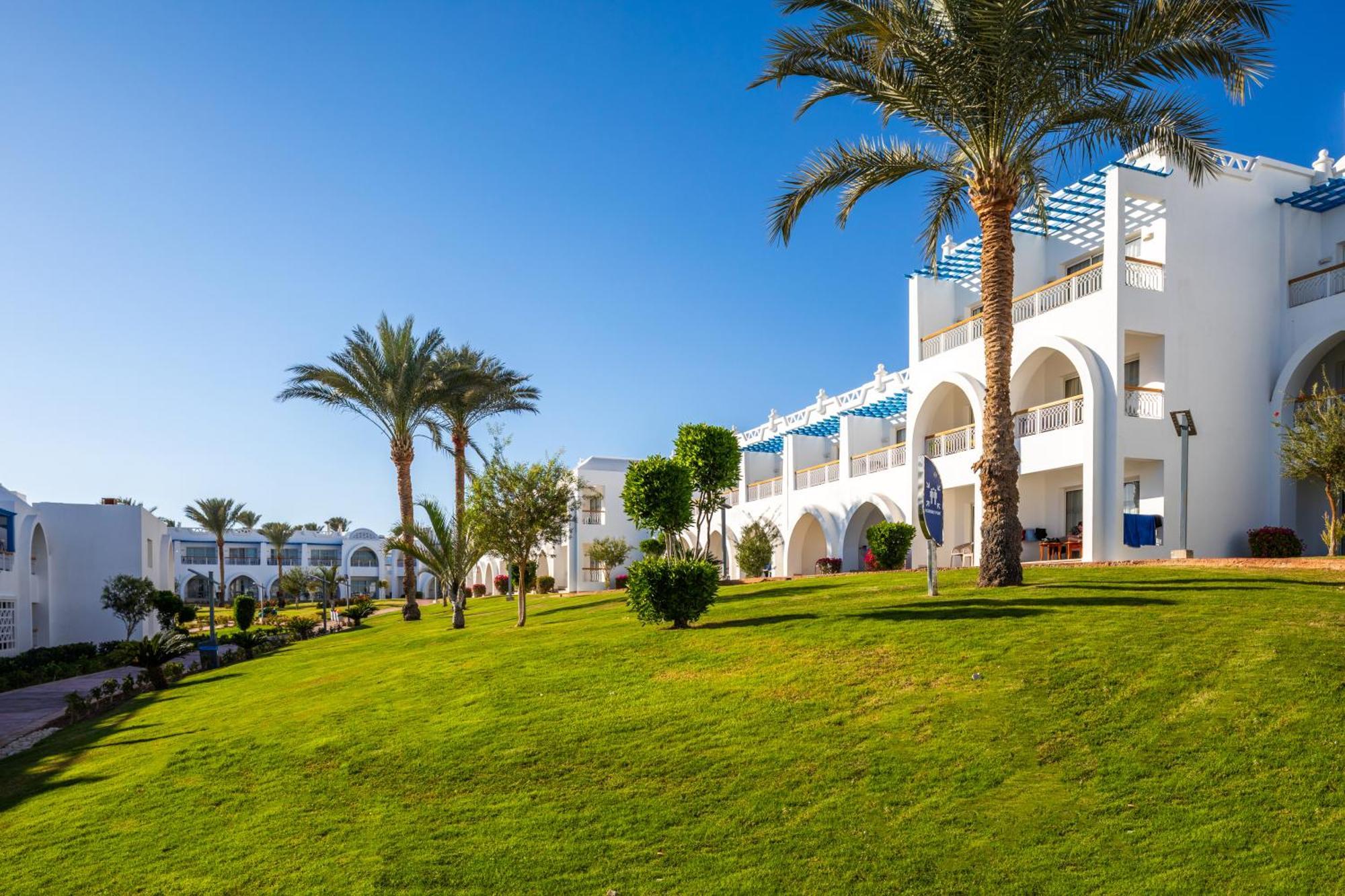 Pickalbatros Palace - 