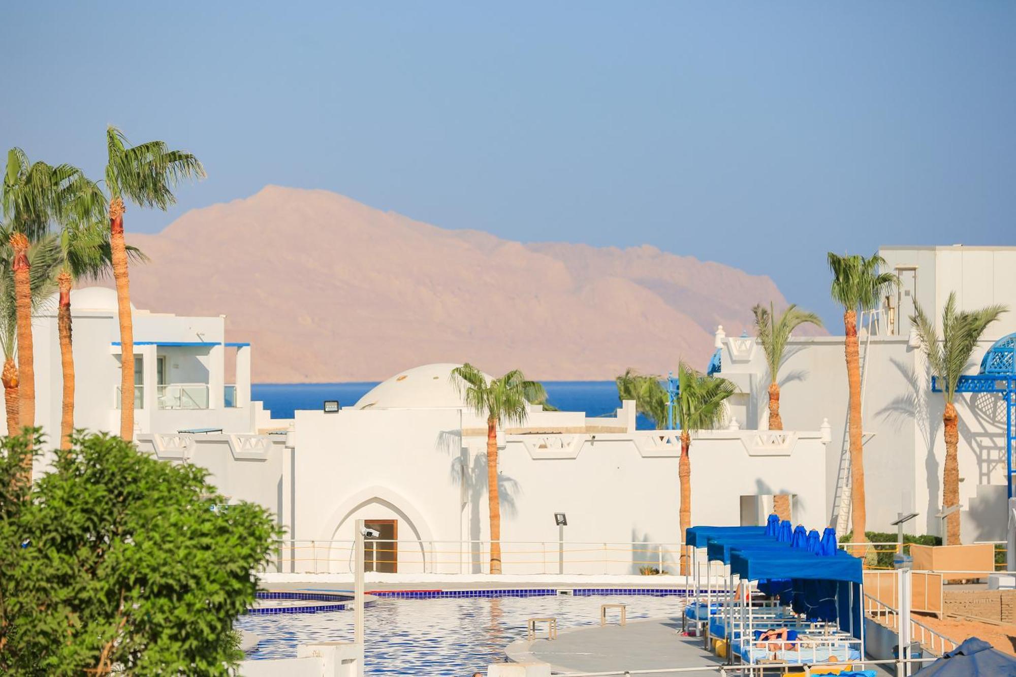 Pickalbatros Palace - 